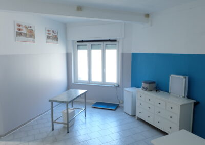 Ambulatorio veterinario Linda Galdi Moncalieri Torino