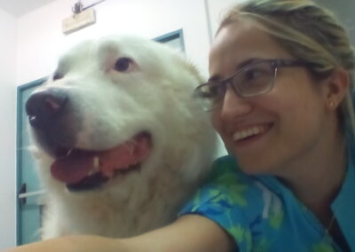 Ambulatorio veterinario Linda Galdi Moncalieri Torino